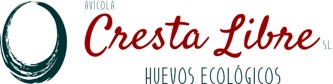 Cliente-16